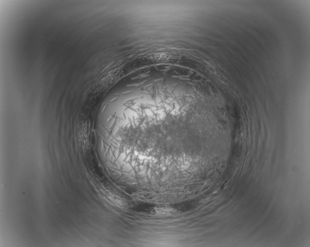 X0000060570605200511171633
