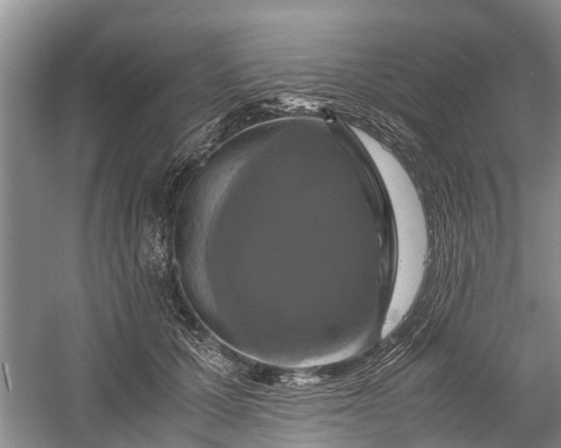 X0000060570607200511171633