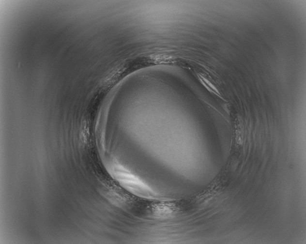 X0000060570618200511171633