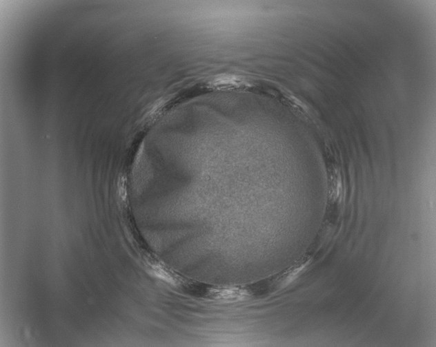 X0000060570621200511171633