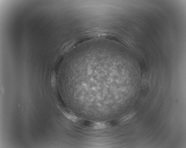 X0000060570623200511171633