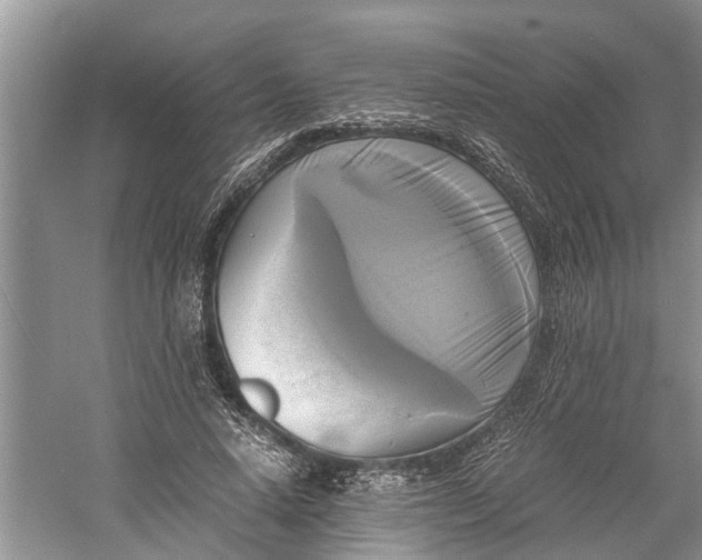 X0000060570640200511171632