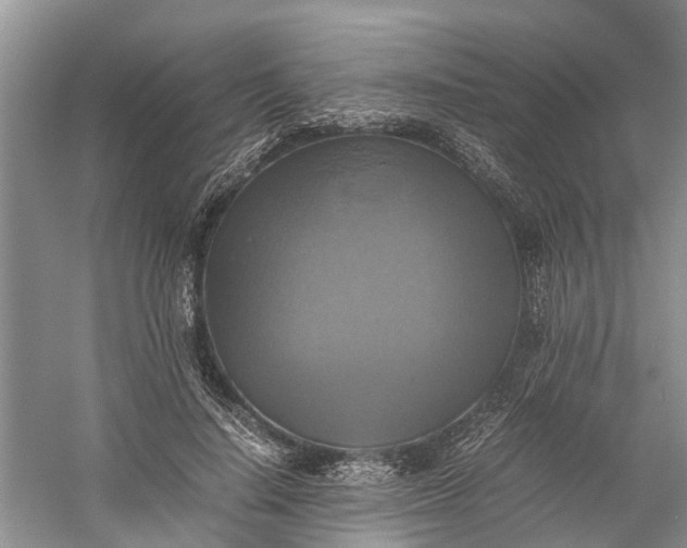 X0000060570644200511171632