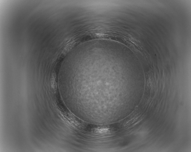 X0000060570651200511171632