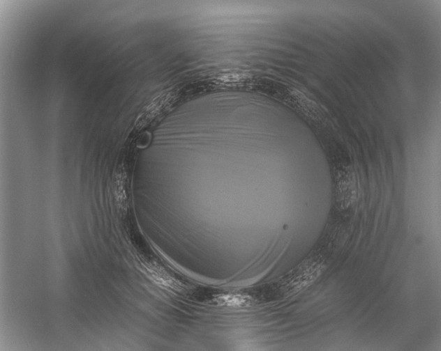 X0000060570654200511171633