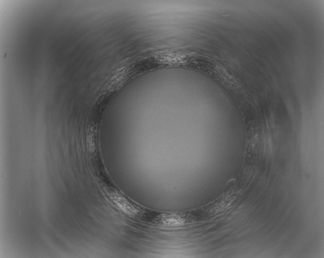 X0000060570658200511171633