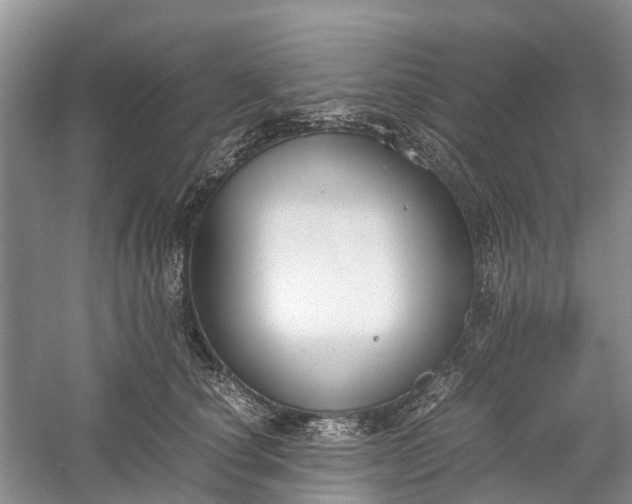 X0000060570660200511171633