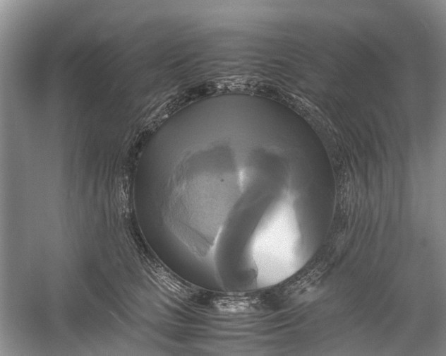 X0000060570661200511171633