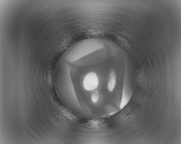 X0000060570662200511171633