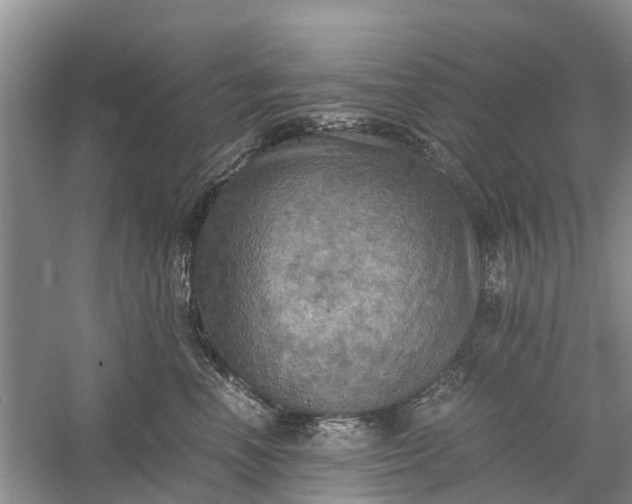 X0000060570666200511171633