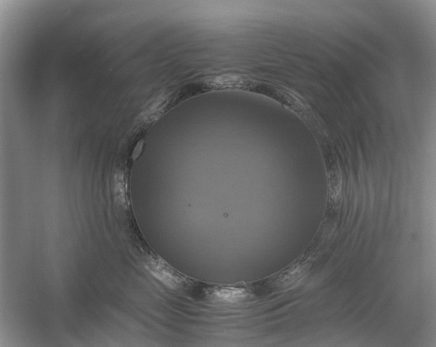 X0000060570669200511171633