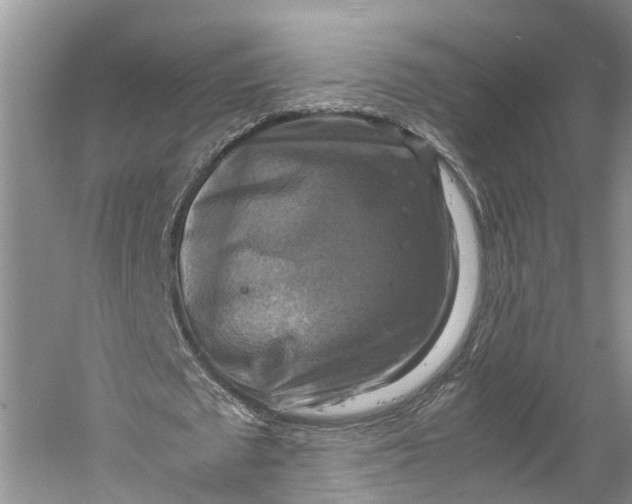 X0000060570673200511171632