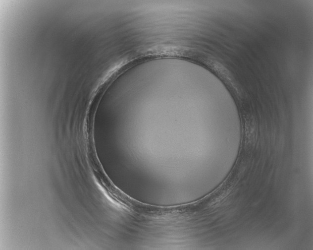 X0000060570674200511171632