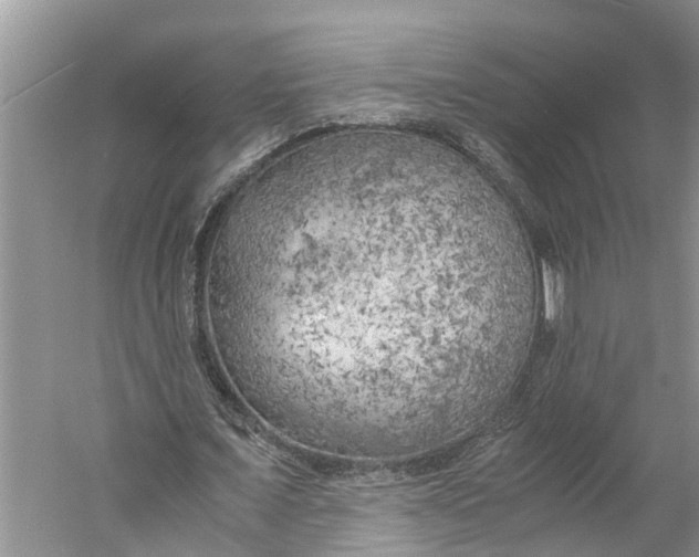 X0000060570675200511171632