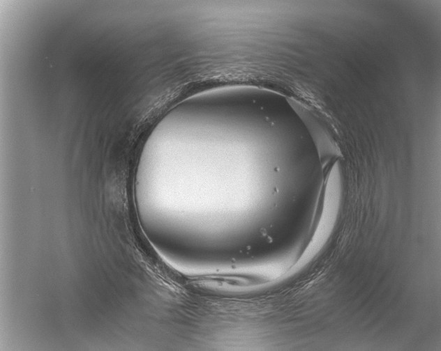 X0000060570681200511171632