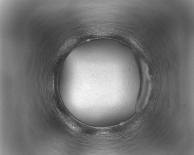 X0000060570685200511171632