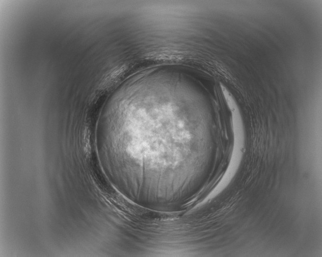 X0000060570692200511171632