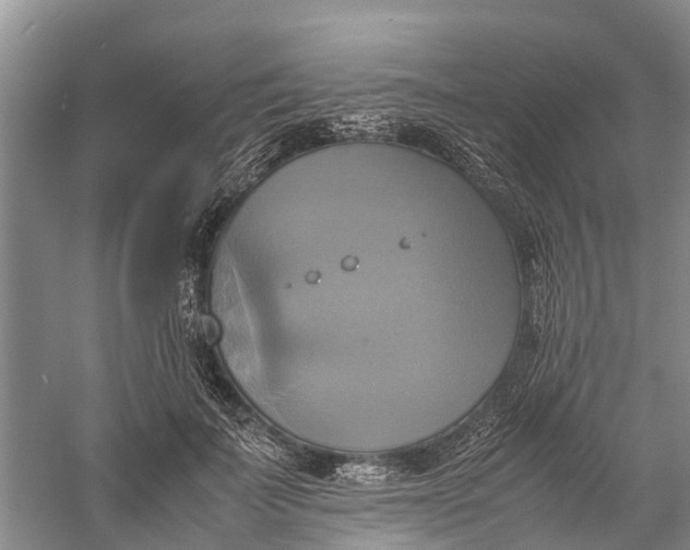 X0000060570699200511171632