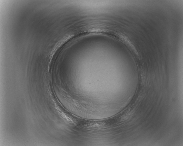 X0000060570721200511171630