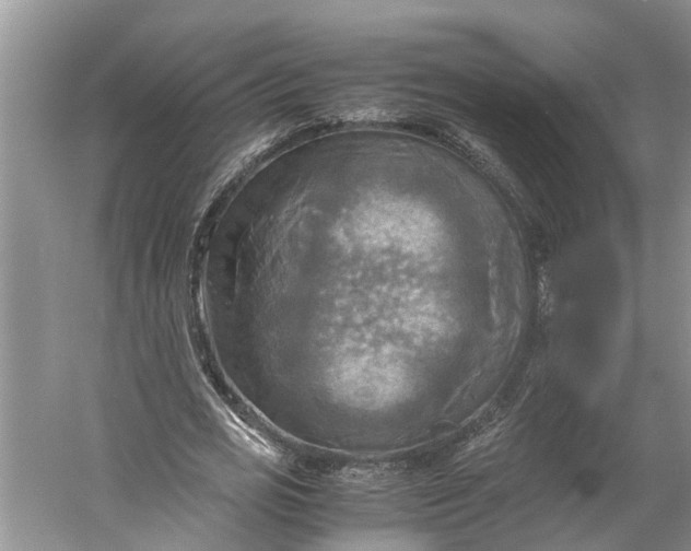 X0000060570725200511171630