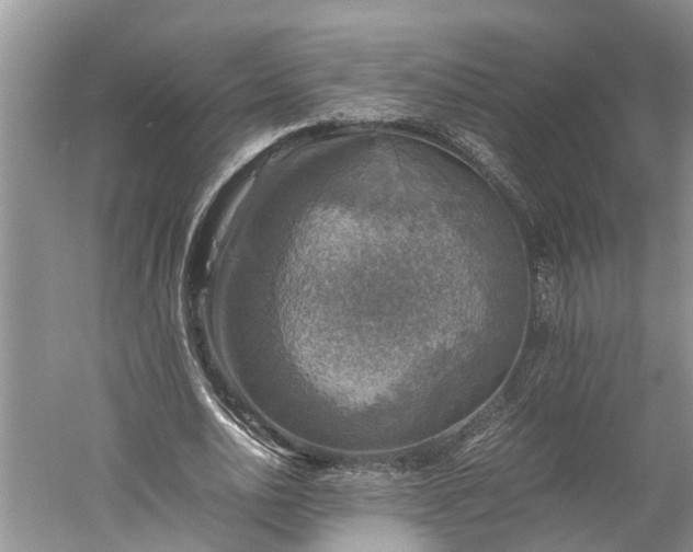 X0000060570726200511171630