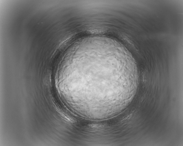 X0000060570733200511171631