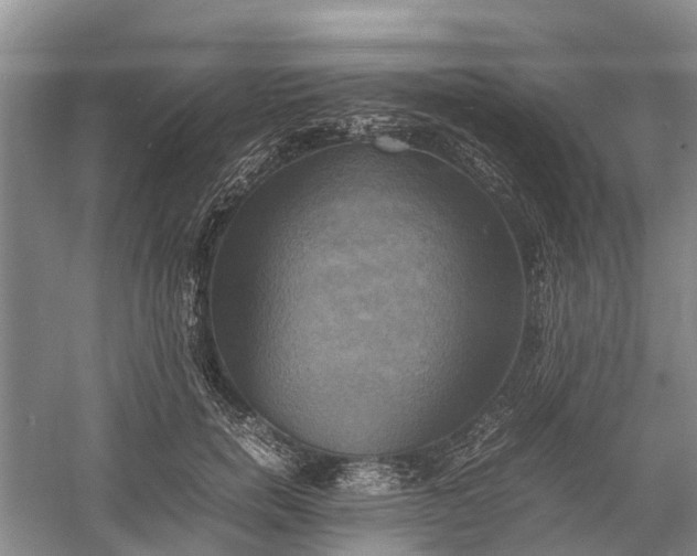 X0000060570750200511171631