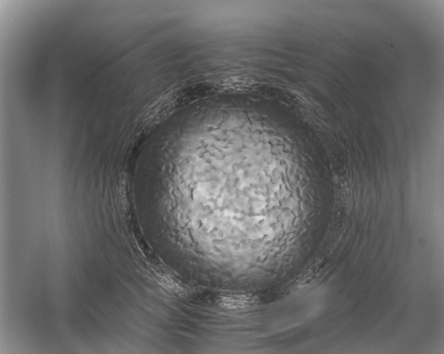 X0000060570757200511171631