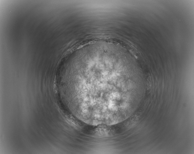 X0000060570764200511171631