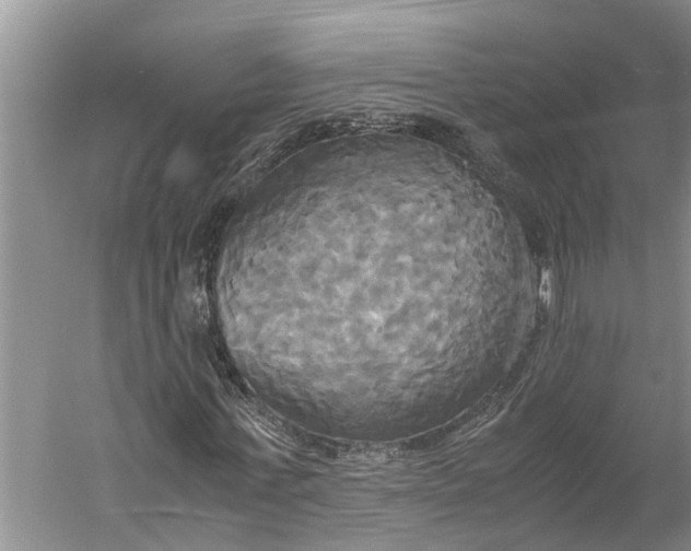 X0000060570771200511171630