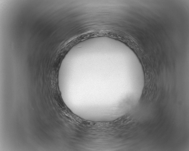 X0000060570773200511171630