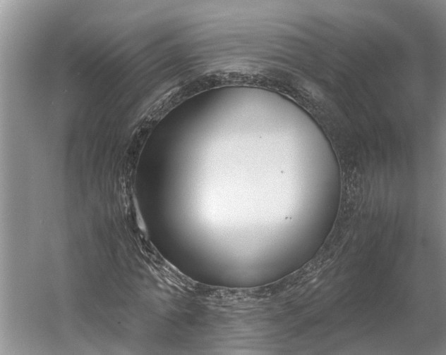 X0000060570774200511171630