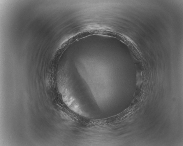 X0000060570775200511171630