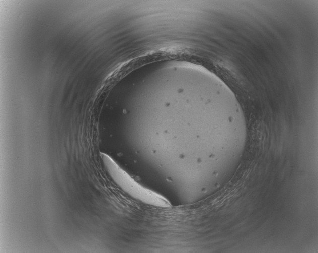 X0000060570776200511171630