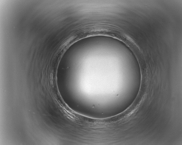 X0000060570777200511171630