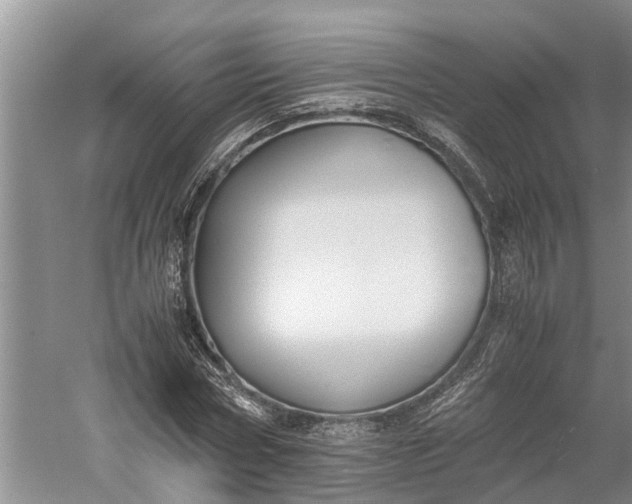 X0000060570778200511171630