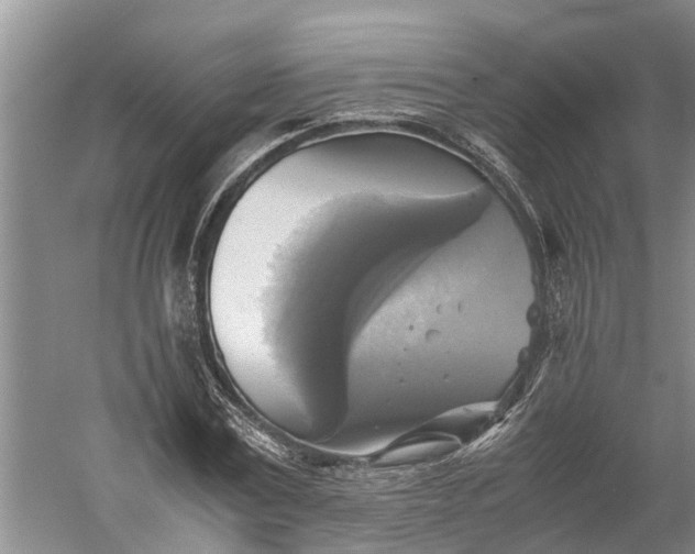 X0000060570779200511171630