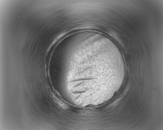 X0000060570781200511171630