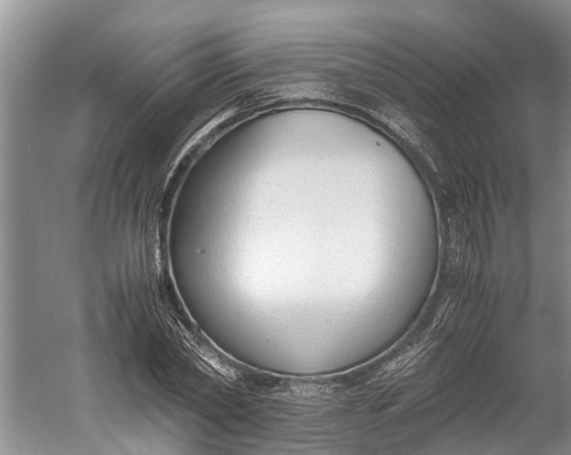 X0000060570782200511171630