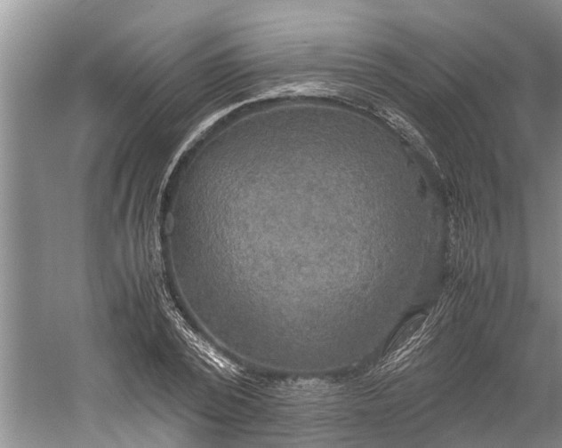 X0000060570784200511171630