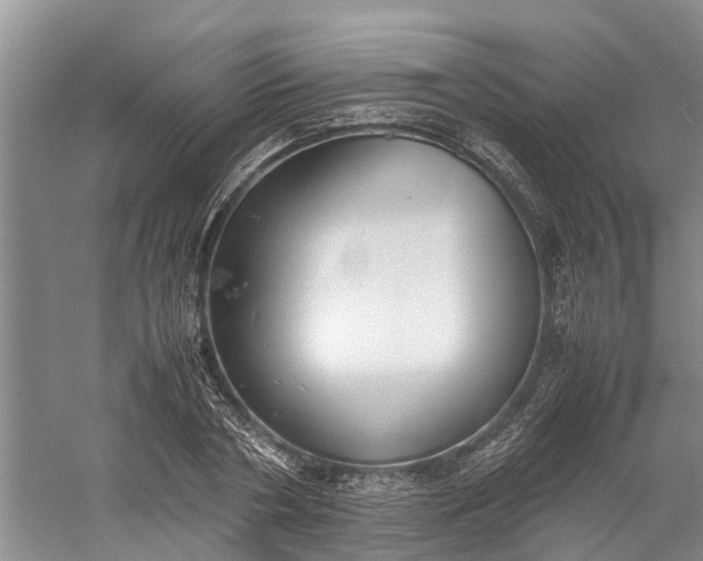 X0000060570786200511171630