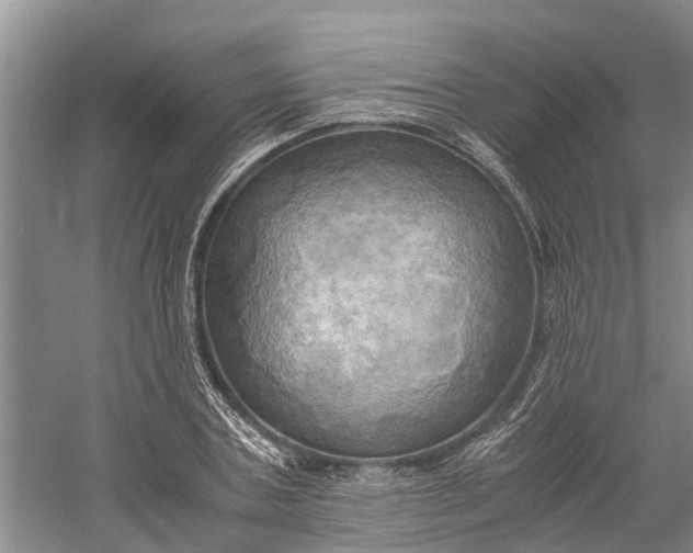 X0000060570787200511171630