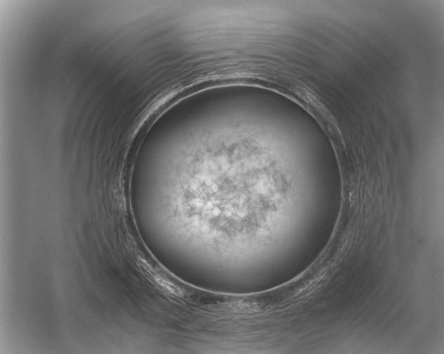 X0000060570789200511171630