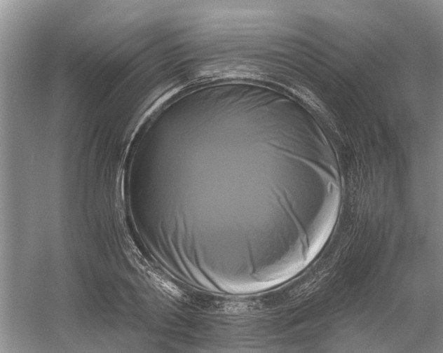 X0000060570790200511171630