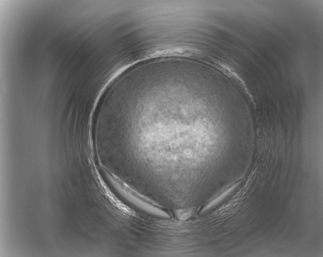 X0000060570792200511171630