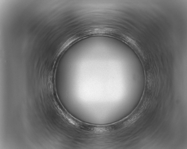 X0000060570794200511171630