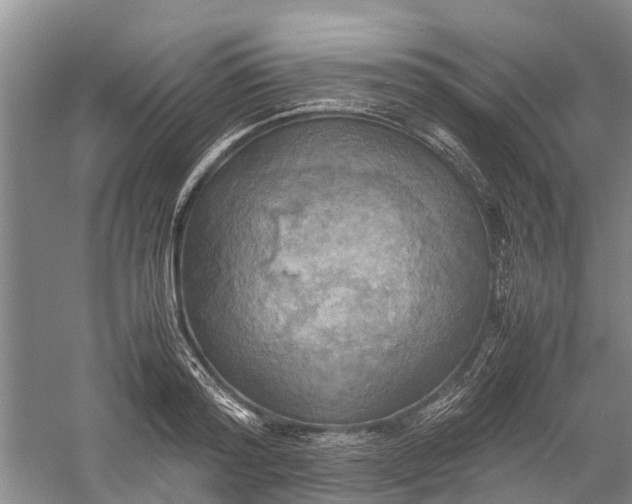 X0000060570796200511171630