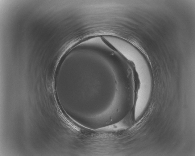 X0000060570797200511171630