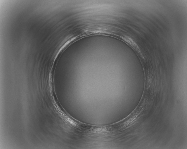 X0000060570798200511171630