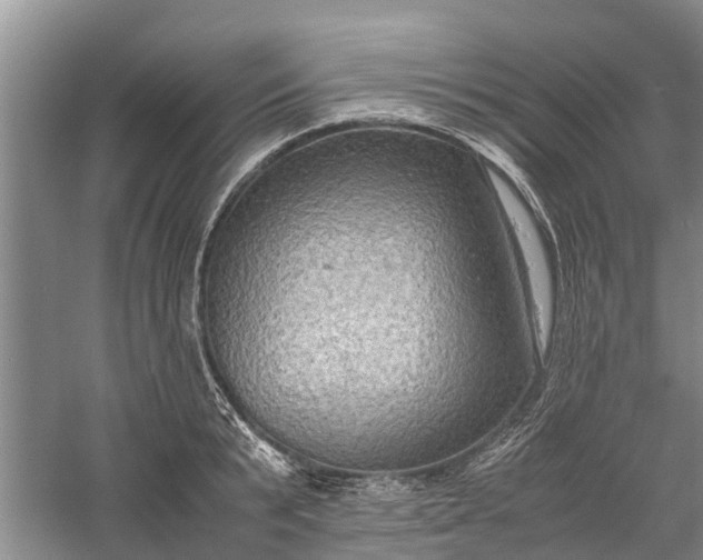 X0000060570799200511171630